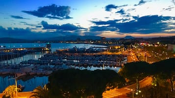 Vista desde la propiedad