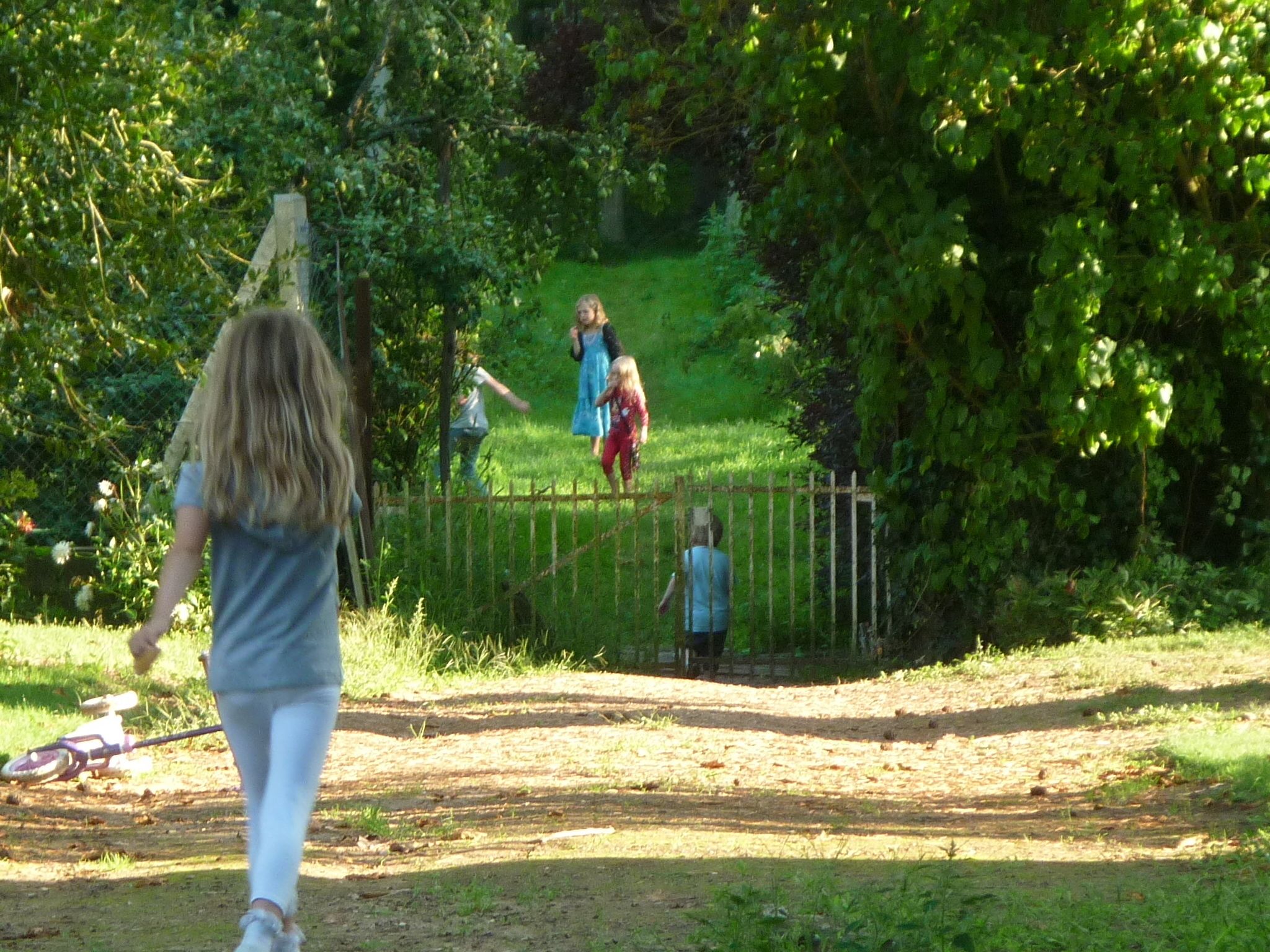 A pathway leading through a garden with a wooden fence and lush greenery.