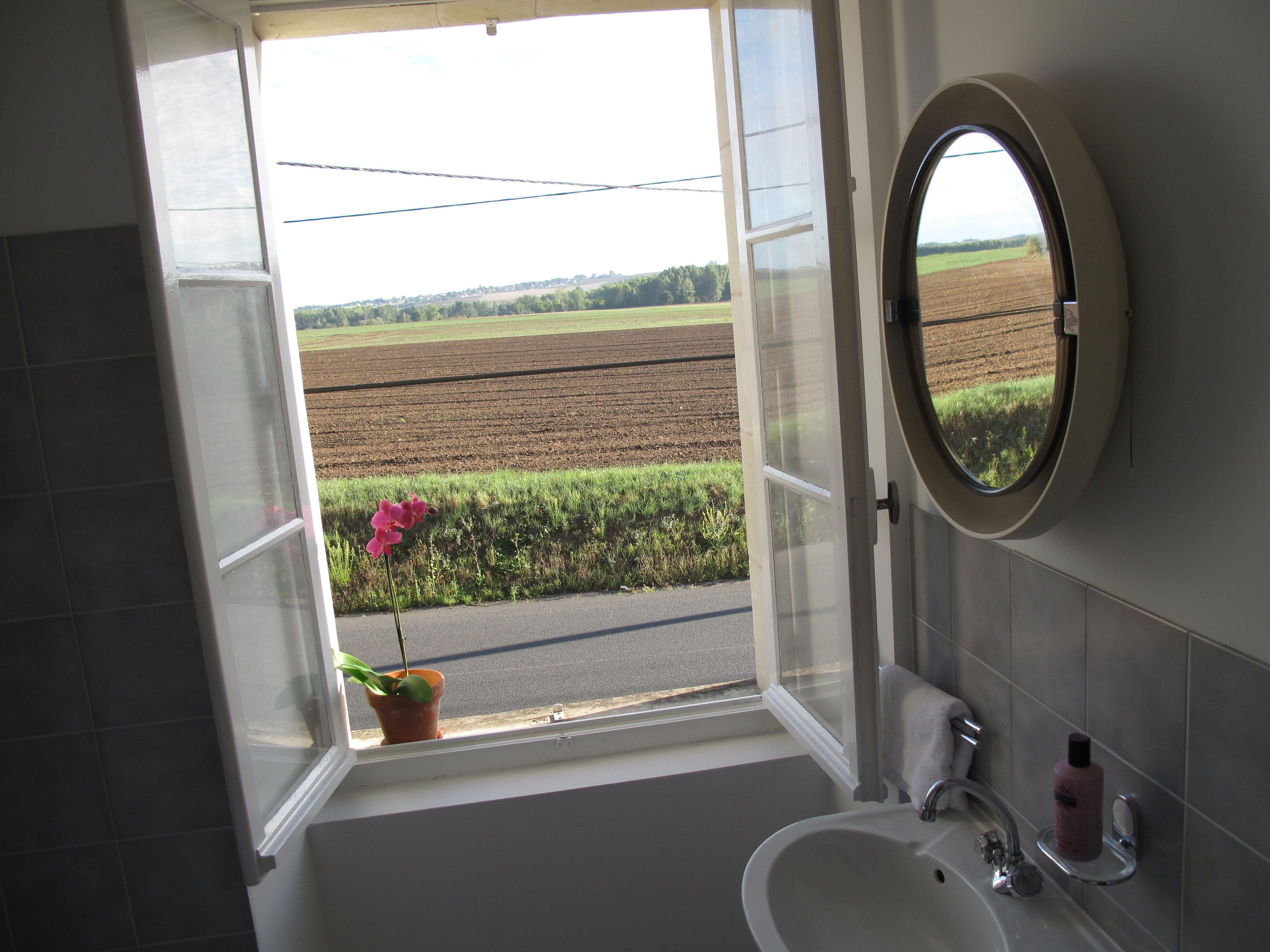 A bathroom with a sink, mirror, and a view of a field through an open door.