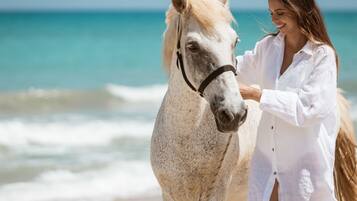 Un caballo blanco con una cabecera negra parado en una playa, con olas del océano al fondo.