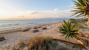Une plage avec des bancs en bois et une promenade en bois.