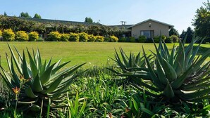 A well-maintained lawn with a variety of plants in the foreground, a modern building with a flat roof in the background, and a clear blue sky. - Stockowners Farm House (Howick)