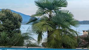 Vista despejada de una piscina con palmeras y una montaña al fondo.