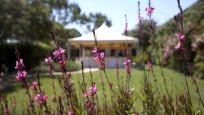 Um gazebo com teto branco rodeado por um gramado com flores cor-de-rosa.