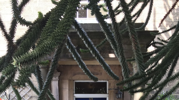 A blue door with the number 92, flanked by stone columns, and a small potted plant to the left. - Ashdale Guest House (Matlock)