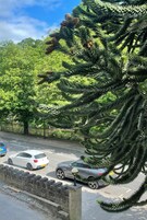 럭셔리 트리플룸, 전용 욕실, 강 전망 | 각각 다른 스타일의 인테리어, 각각 다르게 가구 비치, 다리미/다리미판, 여행용 아기침대