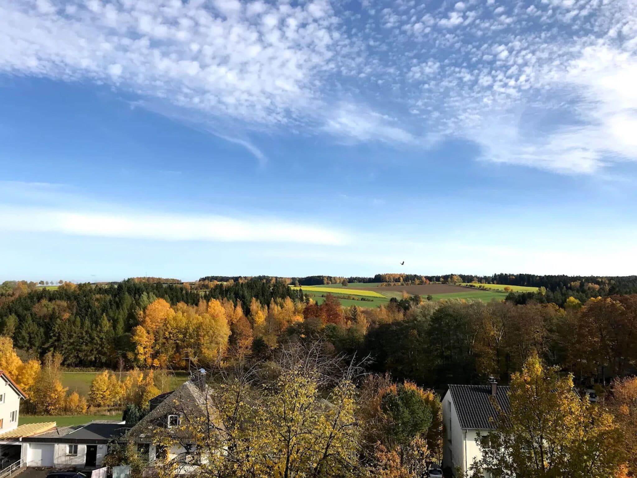 A residential area with houses, trees, and a view of the countryside.