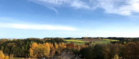 Zona residencial con casas, árboles y vistas al campo.