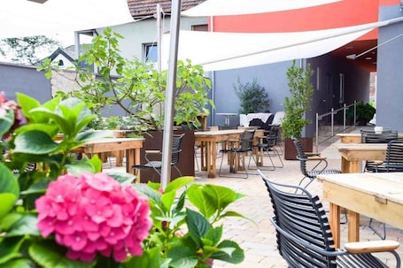 Cocina mediterránea