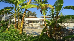 A poolside area with lounge chairs, a building with a white facade, and banana trees. - Saint George Resort (Rhodes)