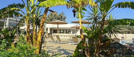 A poolside area with lounge chairs, a building with a white facade, and banana trees.