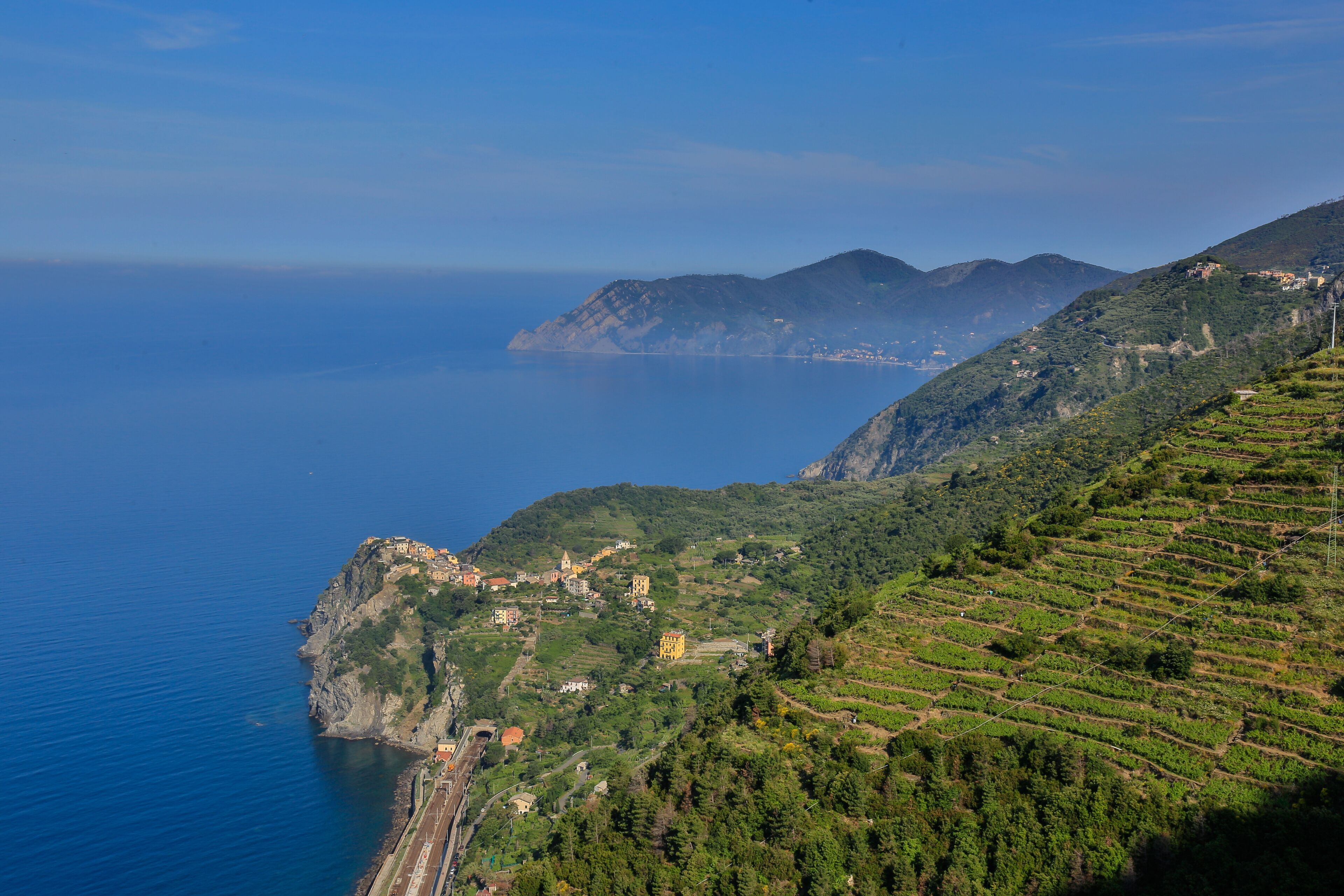 Suite Luxe, 1 très grand lit, bain à remous | Vue sur la plage/l’océan
