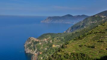 Luxury-Suite, 1 King-Bett, Whirlpool | Strand-/Meerblick