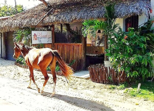 A horse walking in front of a rustic building with a thatched roof and a sign that reads "Sunset Hotel".
