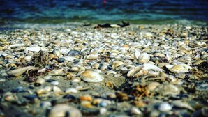 Unclassified image, 3 of 36, button - Sea View Penthouse Mamaia (Constanta)