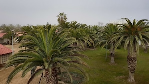A landscaped area with palm trees and a building with a red roof. - Swakopmund Backpackers (Swakopmund)
