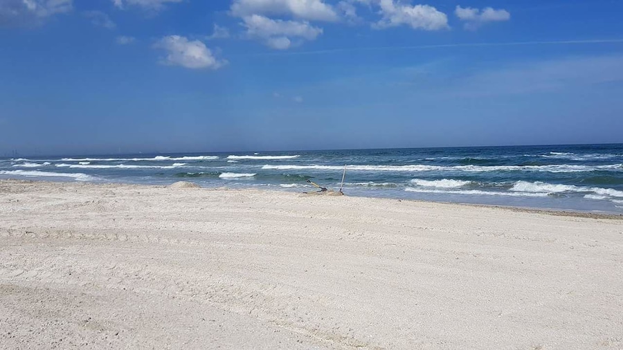 Masy MAMAIA Apartament