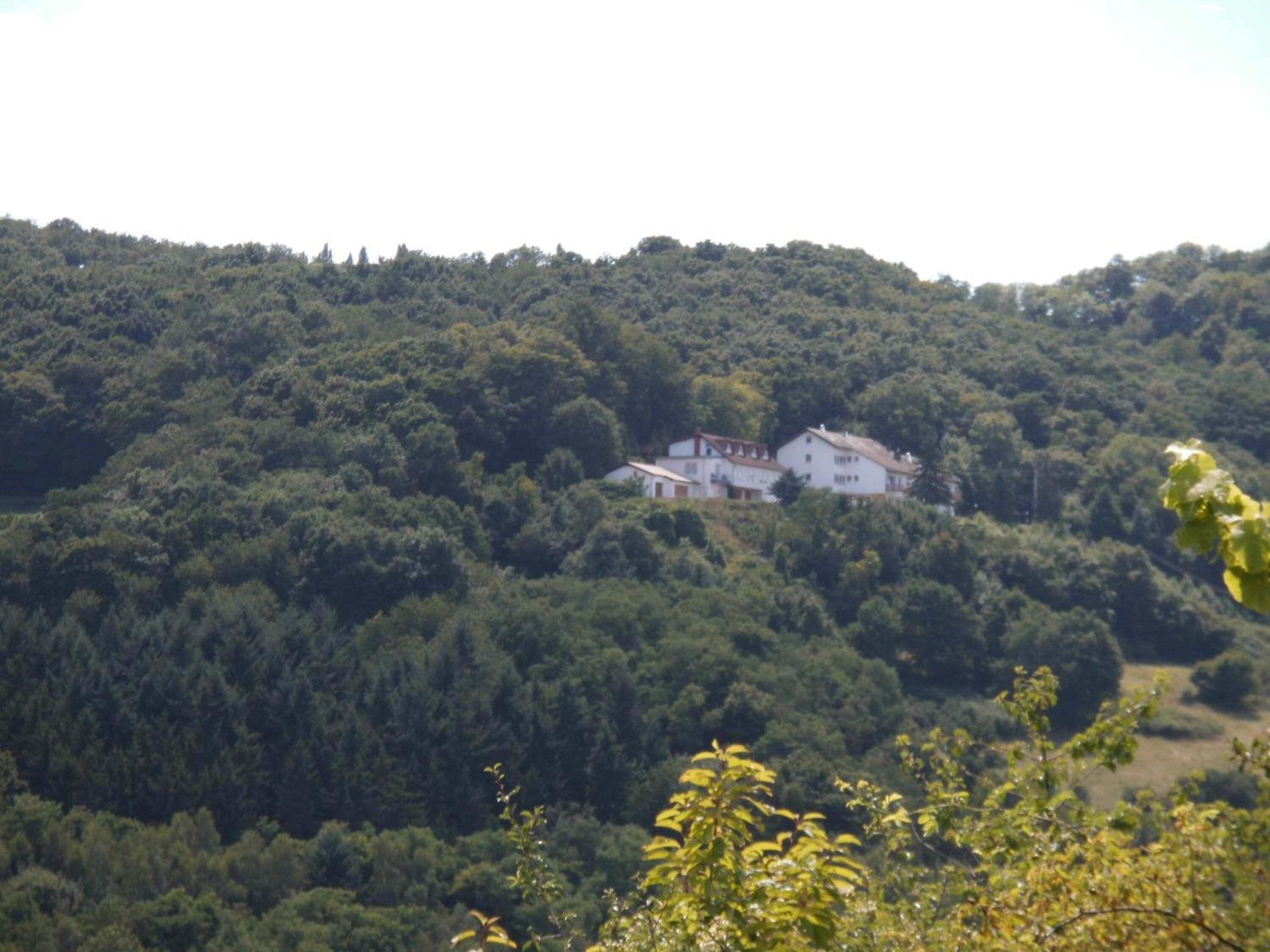 Ein Haus, umgeben von dichtem Wald auf einer Hügelkuppe.