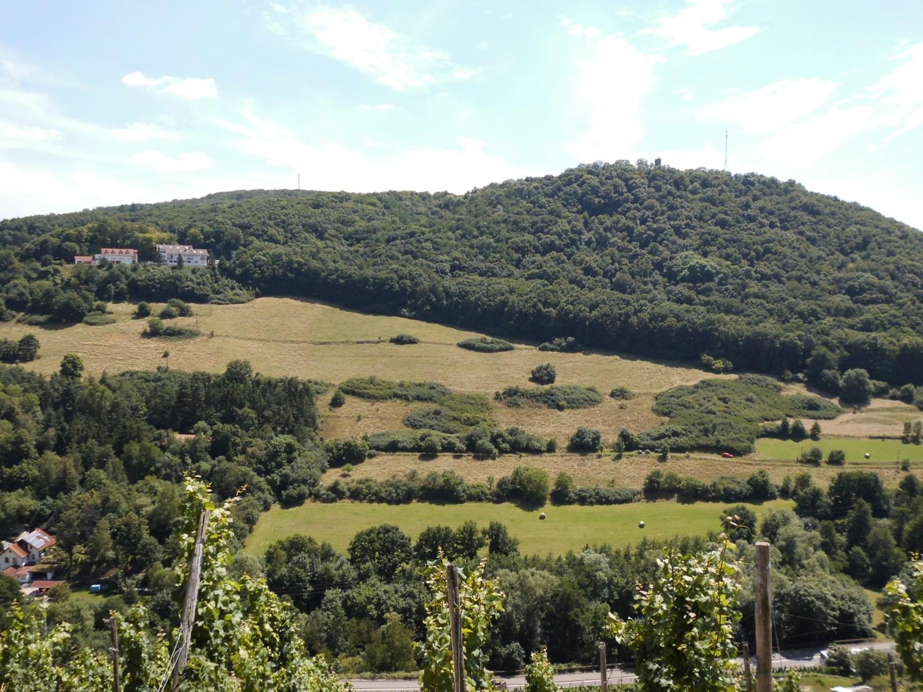 A hillside with a small building on top, surrounded by greenery and a clear sky.