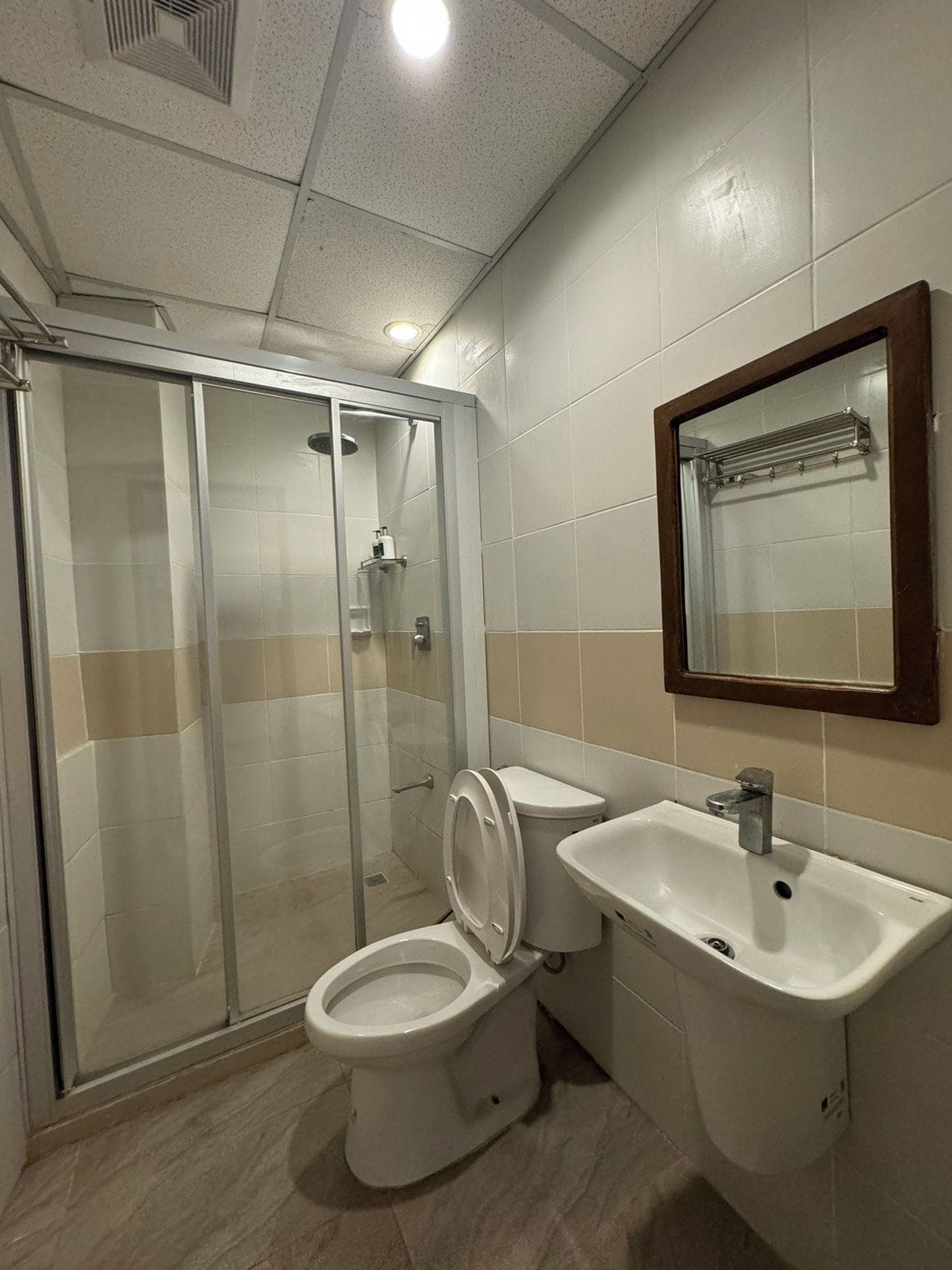 A bathroom with a glass-enclosed shower, a toilet, and a sink with a mirror above it.