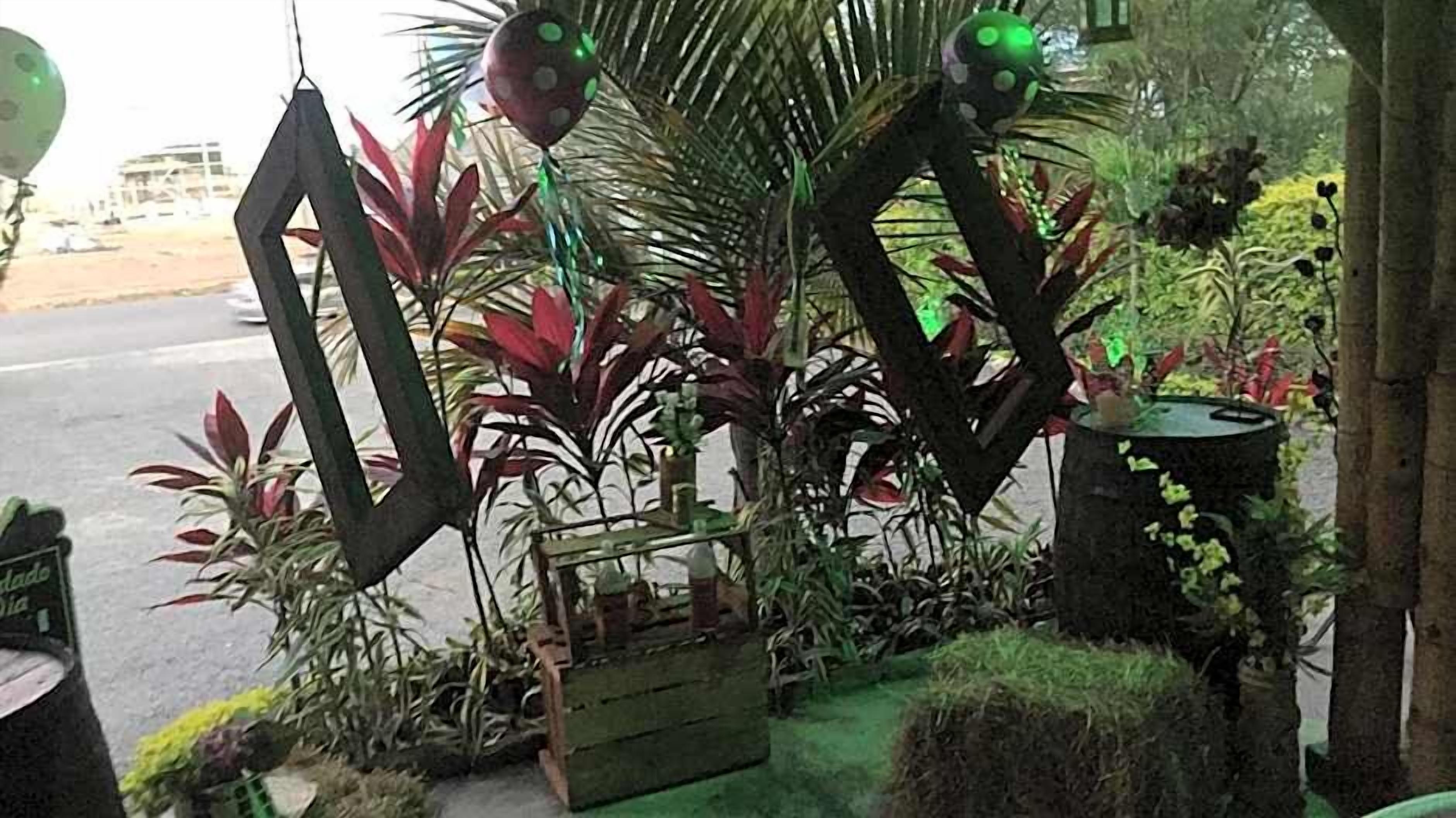 Un jardín con diversas plantas y elementos decorativos, que incluye una estructura de madera y una pequeña mesa.