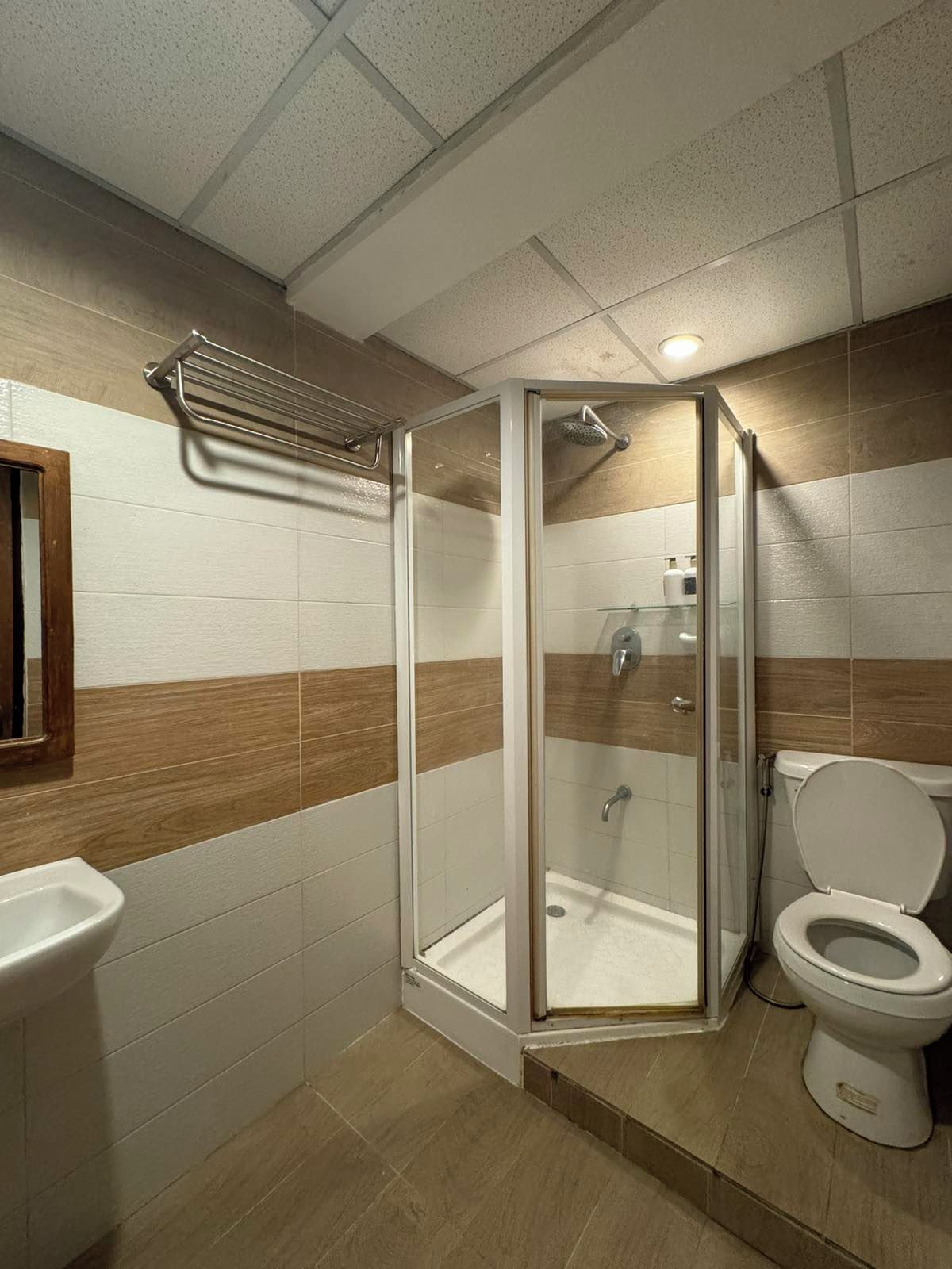 A modern bathroom with a glass-enclosed shower, a toilet, and a sink.