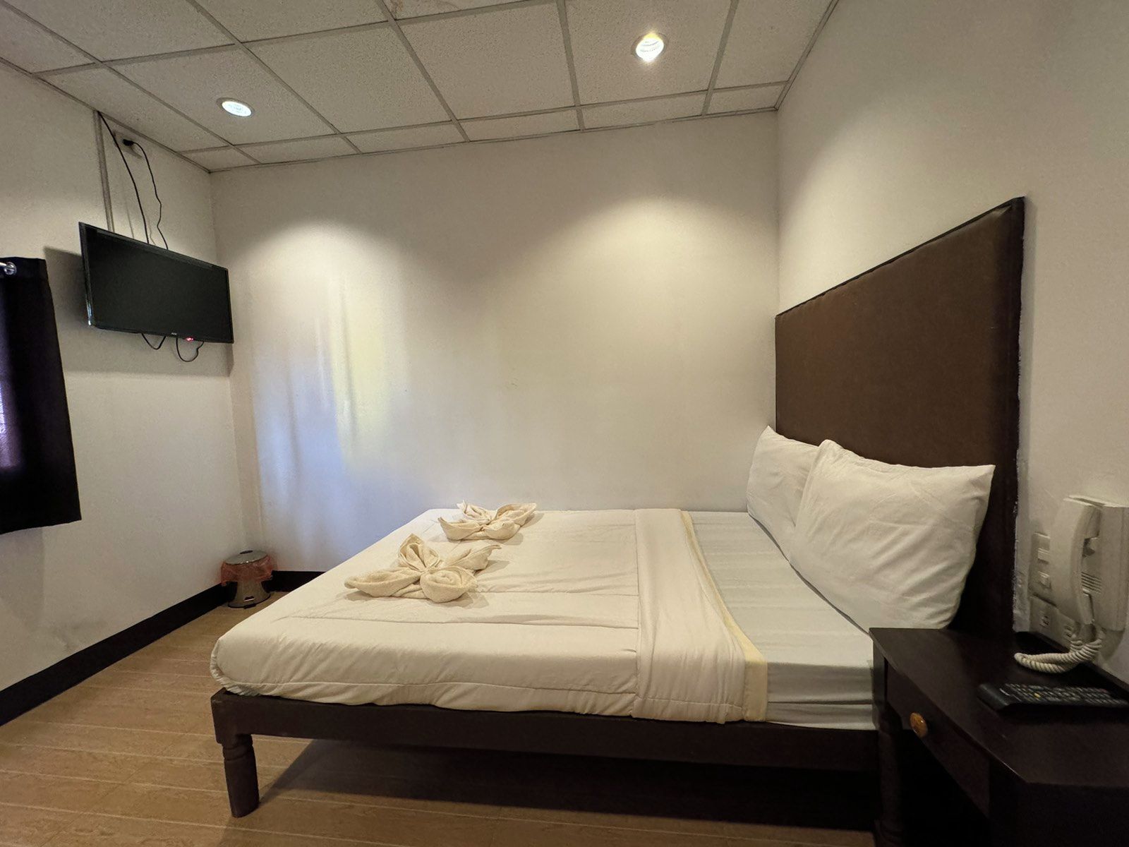 A hotel room with a bed, a TV mounted on the wall, a bedside table with a phone, and a small trash bin.