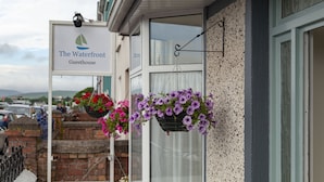 A sign for 'The Waterfront Guesthouse' with hanging flower baskets. - The Waterfront (Dingle)