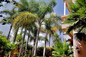 Garden - Lhostel (Casablanca)