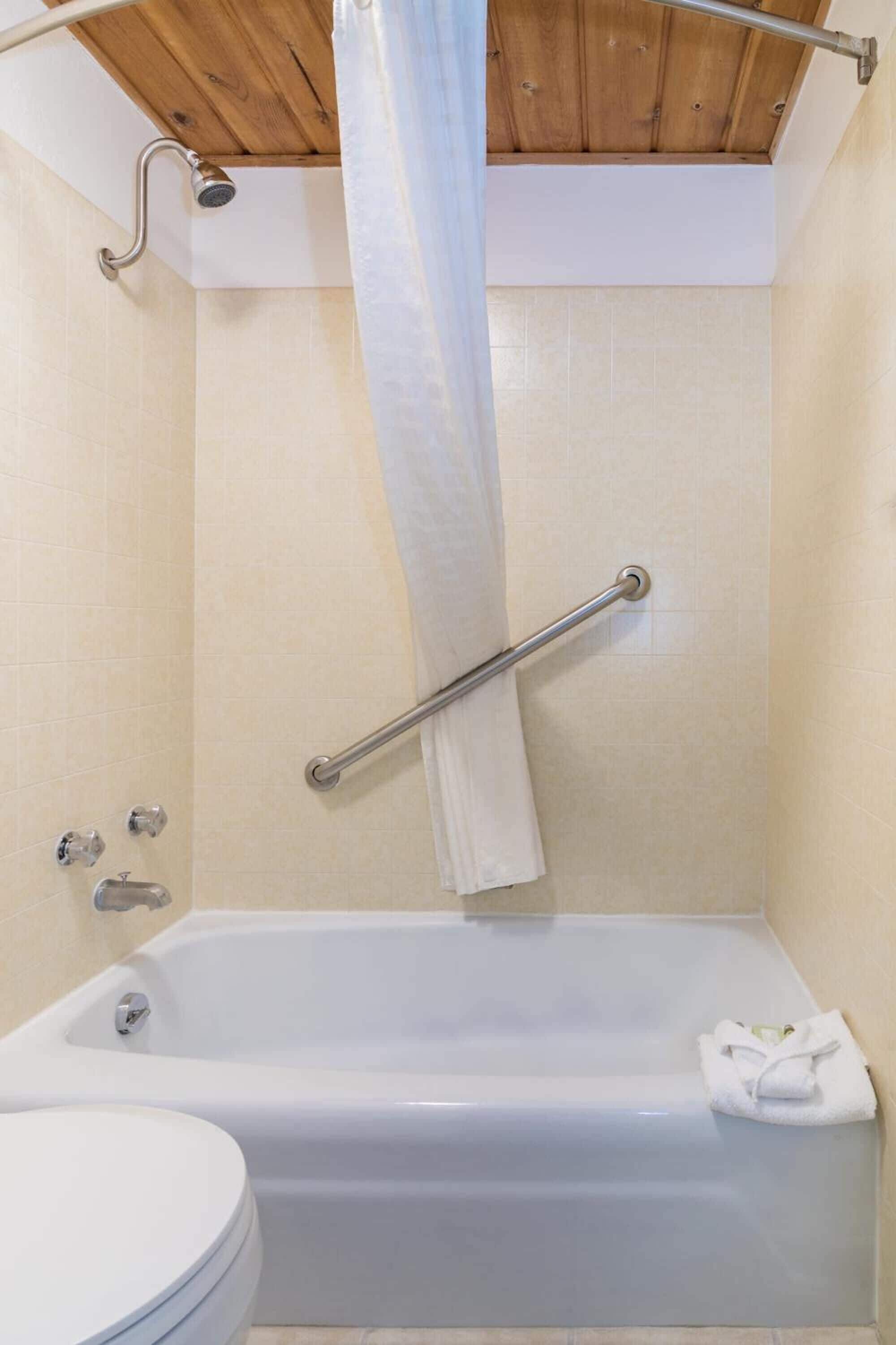 A bathroom with a bathtub, a shower, and a toilet.
