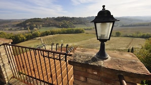 Ein Balkon mit schmiedeeisernem Geländer mit Blick auf eine Weinlandschaft.
