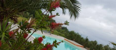 Outdoor pool, pool loungers