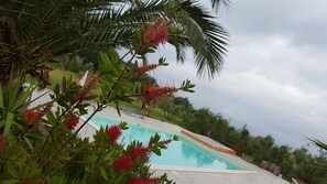 A swimming pool surrounded by lush greenery and palm trees. - Agriturismo Il Giogo (Rosignano Marittimo)