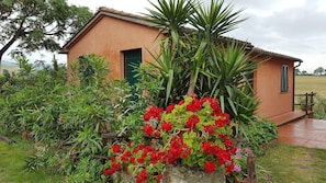 Detalle exterior