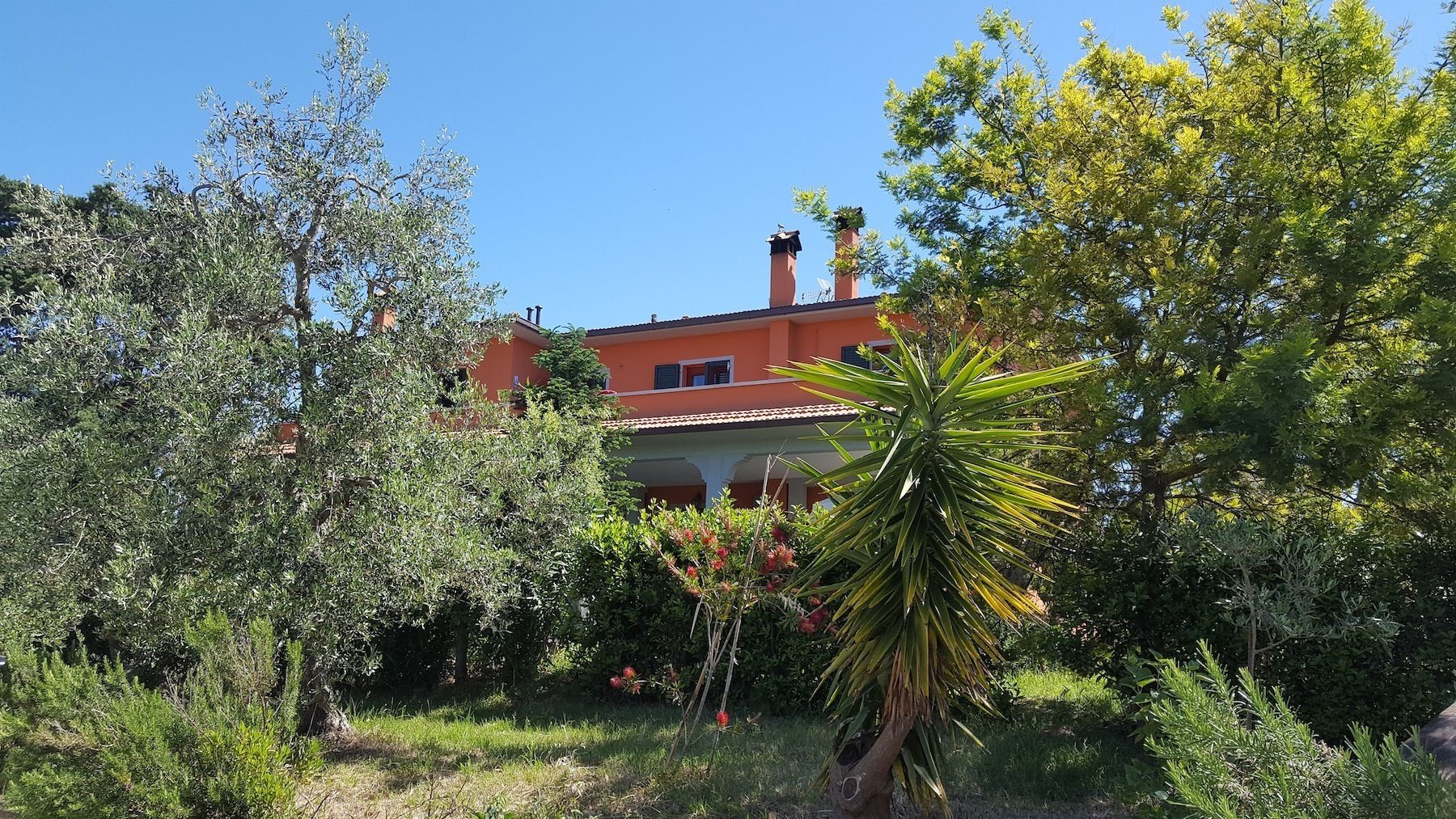 Una casa con fachada roja, rodeada de abundante vegetación y árboles.