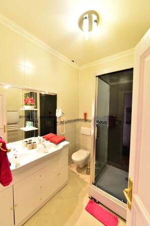 Family Room (Romance) | Bathroom | Shower, free toiletries, hair dryer, towels - Au Pied Du Chateau (Lourdes)