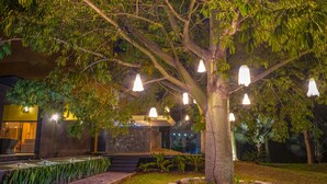 Un árbol con luces colgantes, un camino de piedra y un edificio moderno al fondo.