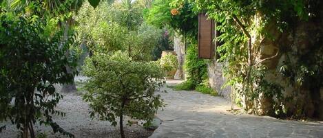Ein gepflasterter Weg in einem Garten mit verschiedenen Pflanzen und einem rustikalen Gebäude im Hintergrund.