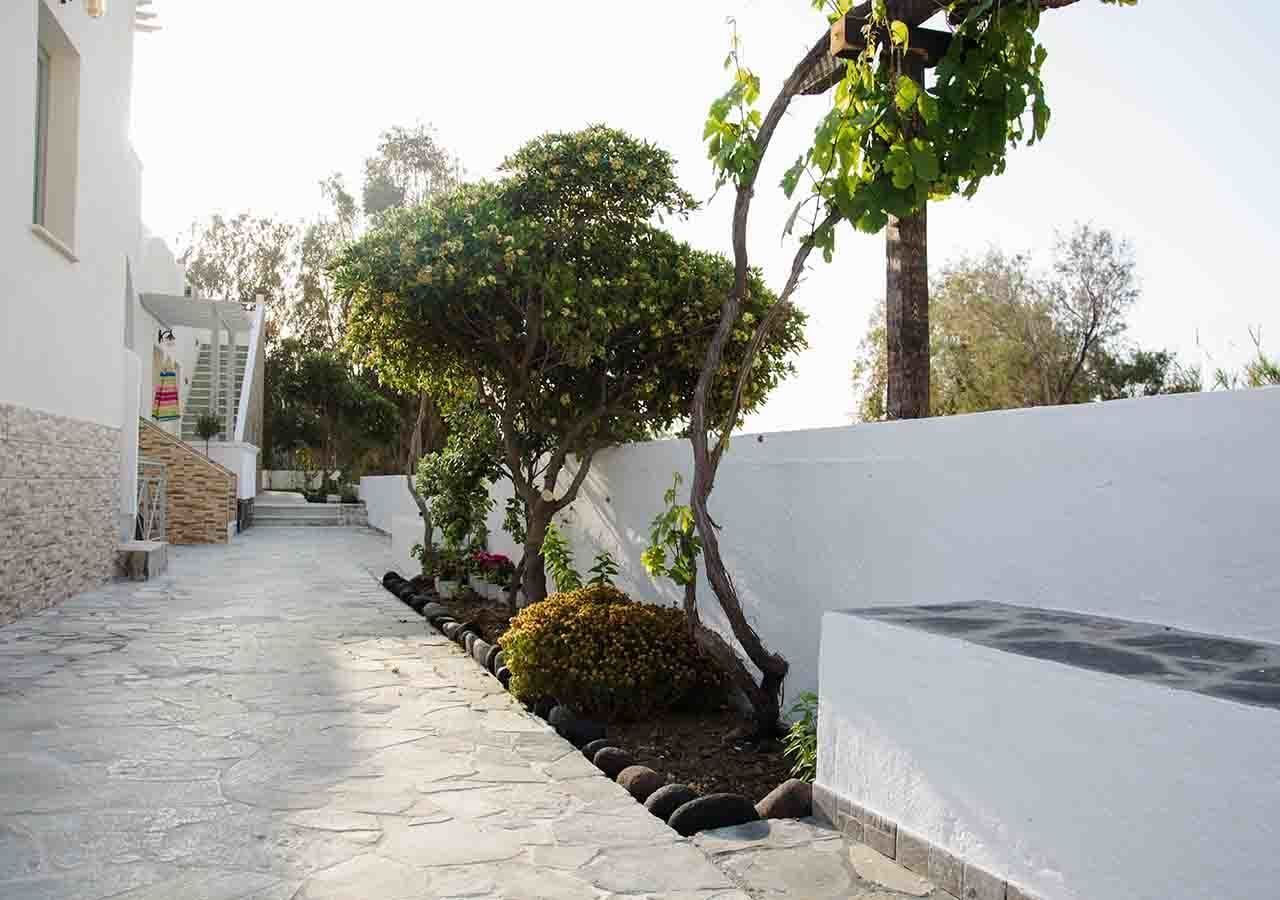 Un estrecho sendero de piedra bordeado por muros blancos y vegetación, que conduce a la entrada de un edificio.