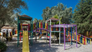 Un patio de juegos al aire libre con diversas estructuras, incluyendo toboganes y juegos de escalar, rodeado de árboles.