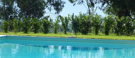 Piscina stagionale all'aperto, ombrelloni da piscina, lettini