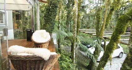My Home - Felicita 9