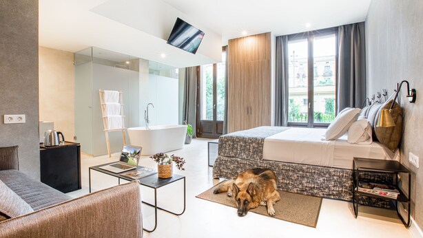 Ein modernes Hotelzimmer mit einer Couch, einem Bett, einem Laptop, einem Hund, einem Fernseher, einer Badewanne und einem Fenster mit Blick auf Grünflächen.