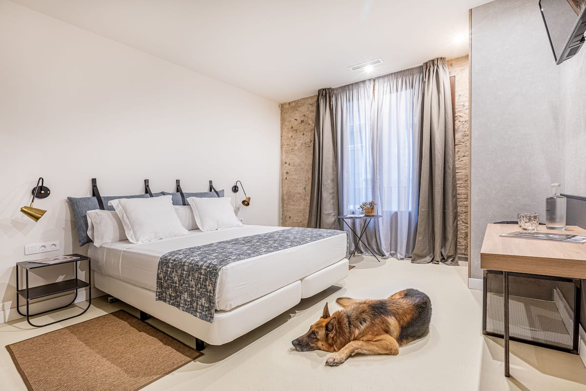 Ein modernes Schlafzimmer mit einem Bett, einem Schreibtisch und einem Hund, der auf dem Boden liegt.