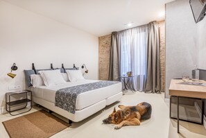 Ein modernes Schlafzimmer mit einem Bett, einem Schreibtisch und einem Hund, der auf dem Boden liegt.