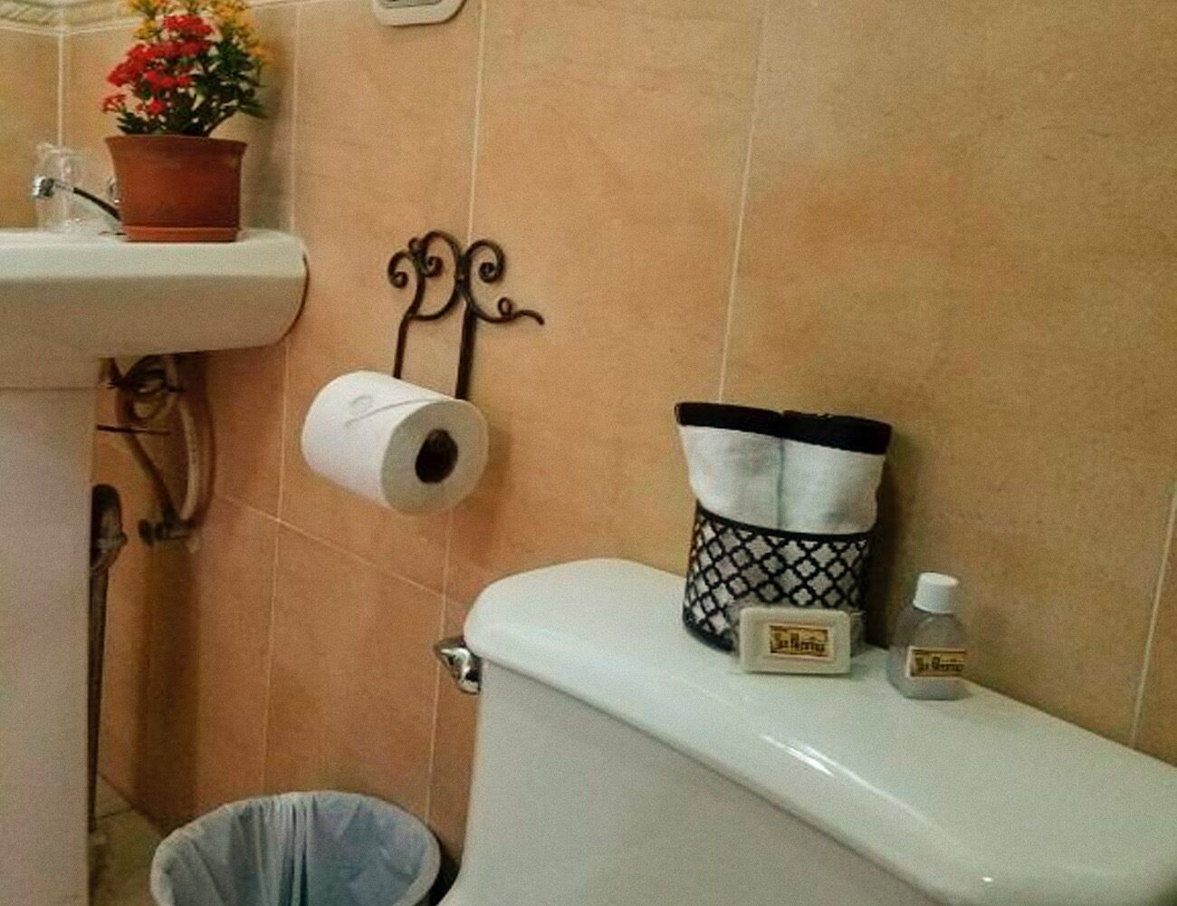A bathroom with a toilet, a roll of toilet paper, a trash bin, a potted plant, and a hanging toilet paper holder.