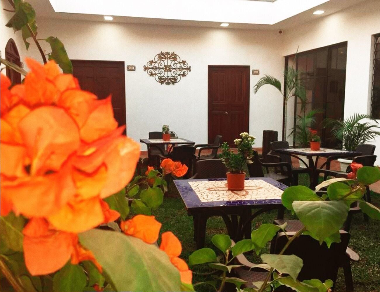 Un jardín interior con mesas y sillas, rodeado de plantas y flores en macetas.