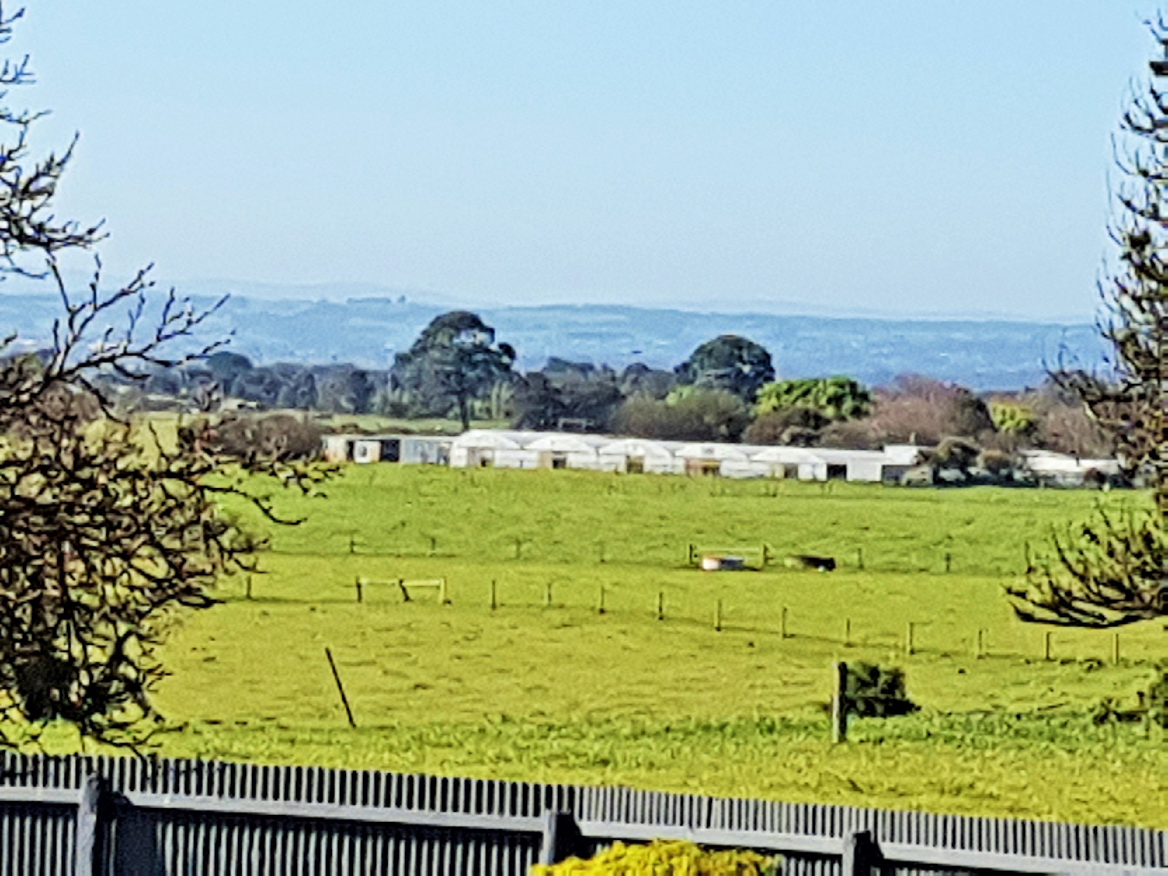 Maids Quarters | View from room