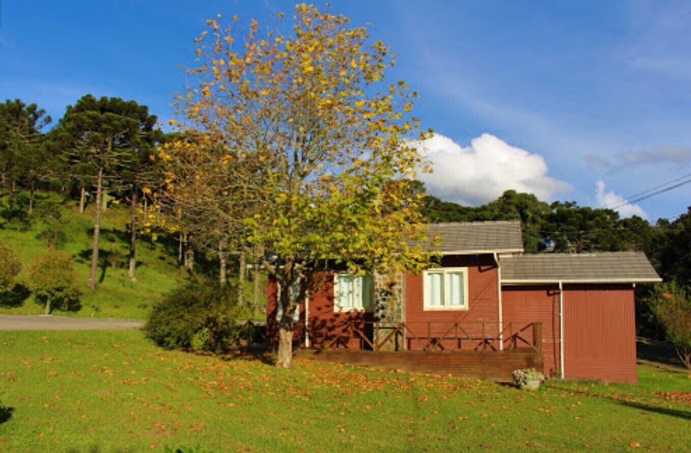 A small red building with a white window and a door, surrounded by a grassy area with fallen leaves.
