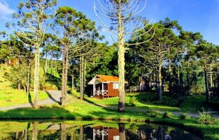 Chalet Deluxe | Minibar, camas supletorias, wifi gratis y ropa de cama